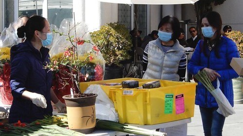 San Jose chờ xuân Tân Sửu không pháo, thiếu hoa | Vietnam Fraternité