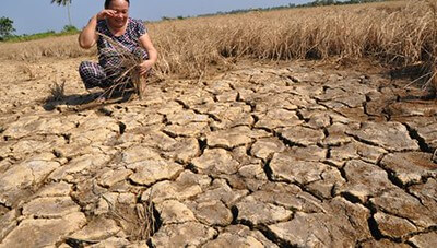 Quỳ trước cổng thành | Vietnam Fraternité