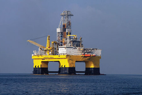 Nghịch lý Cá Voi Xanh : thấy cây mà không thấy rừng | Vietnam Fraternité