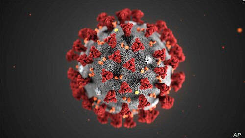 Corona : Người Việt đối mặt với tháng Tư đen kép | Vietnam Fraternité