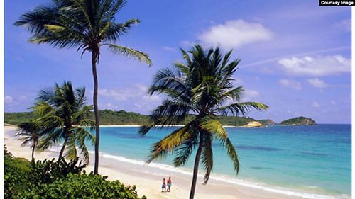 Số phận các ‘đặc khu’ giờ ra sao ? | Vietnam Fraternité