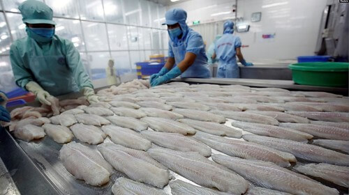 Bộ Thương mại Mỹ tăng thuế chống bán phá giá đối với 5 nhà xuất khẩu cá basa Việt Nam | Vietnam Fraternité