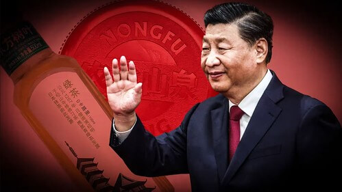 Người Trung Quốc bài Nhật vô tình nhắm vào ngôi chùa may mắn của Tập | Vietnam Fraternité