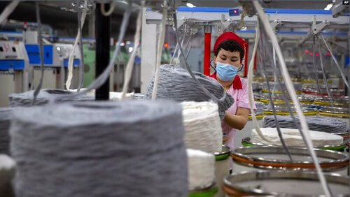 Hàng xuất khẩu Việt Nam dính tới lao động cưỡng bức ở Tân Cương | Vietnam Fraternité