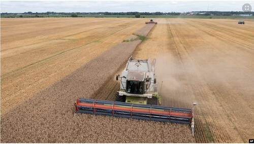 Vì sao ngũ cốc gây sóng gió cho quan hệ Ba Lan-Ukraine ? | Vietnam Fraternité