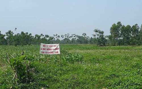 2. Thảm kịch Lê Đình Kình… | Vietnam Fraternité