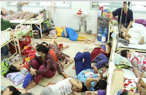 Họa luận | Vietnam Fraternité