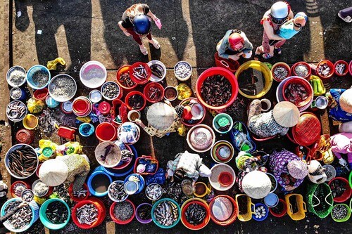 Những quan ngại về kinh tế Việt Nam | Vietnam Fraternité