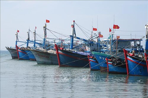 Vụ Việt Nam bị gỡ thẻ vàng IUU và Vườn rau Lộc Hưng chưa ổn | Vietnam Fraternité