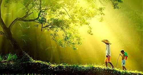 Năm hệ : Lương - Tự - Sáng - Thông - Đa | Vietnam Fraternité