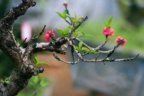 Đối luận 1.4 : Sống đúng nhân đạo, sống trúng nhân phẩm | Vietnam Fraternité