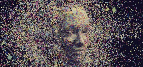 Não luận 4 : Thông | Vietnam Fraternité