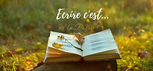 Thi luận | Vietnam Fraternité