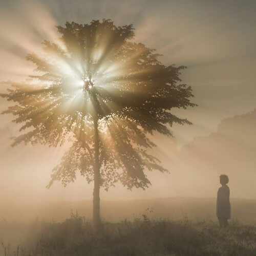 Tạo luận 6 : Sáng tác lý | Vietnam Fraternité