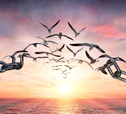 Thức luận 7 : Người hay ngợm | Vietnam Fraternité