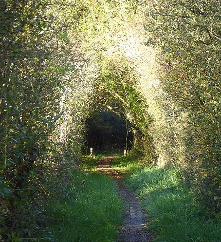 Thức luận 1 : Ý thức, kiến thức, tri thức, trí thức, tỉnh thức | Vietnam Fraternité