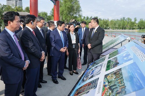 Tư duy vĩ cuồng và ảo giác quyền lực từ nhỏ | Vietnam Fraternité