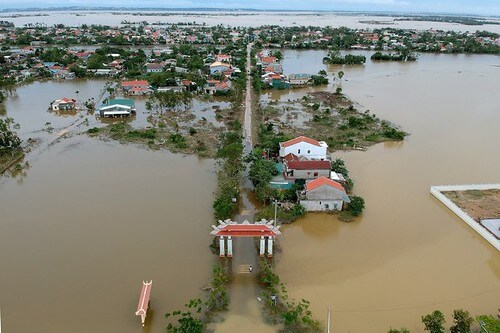 Miền Trung lũ lụt, thú hiếm voọc chà vá chân xám bị săn diệt | Vietnam Fraternité