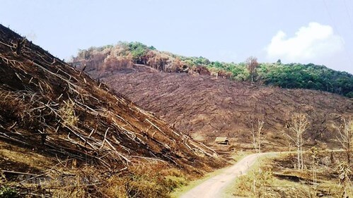 Biến động trên Tây Nguyên : lý giải những sự kiện | Vietnam Fraternité