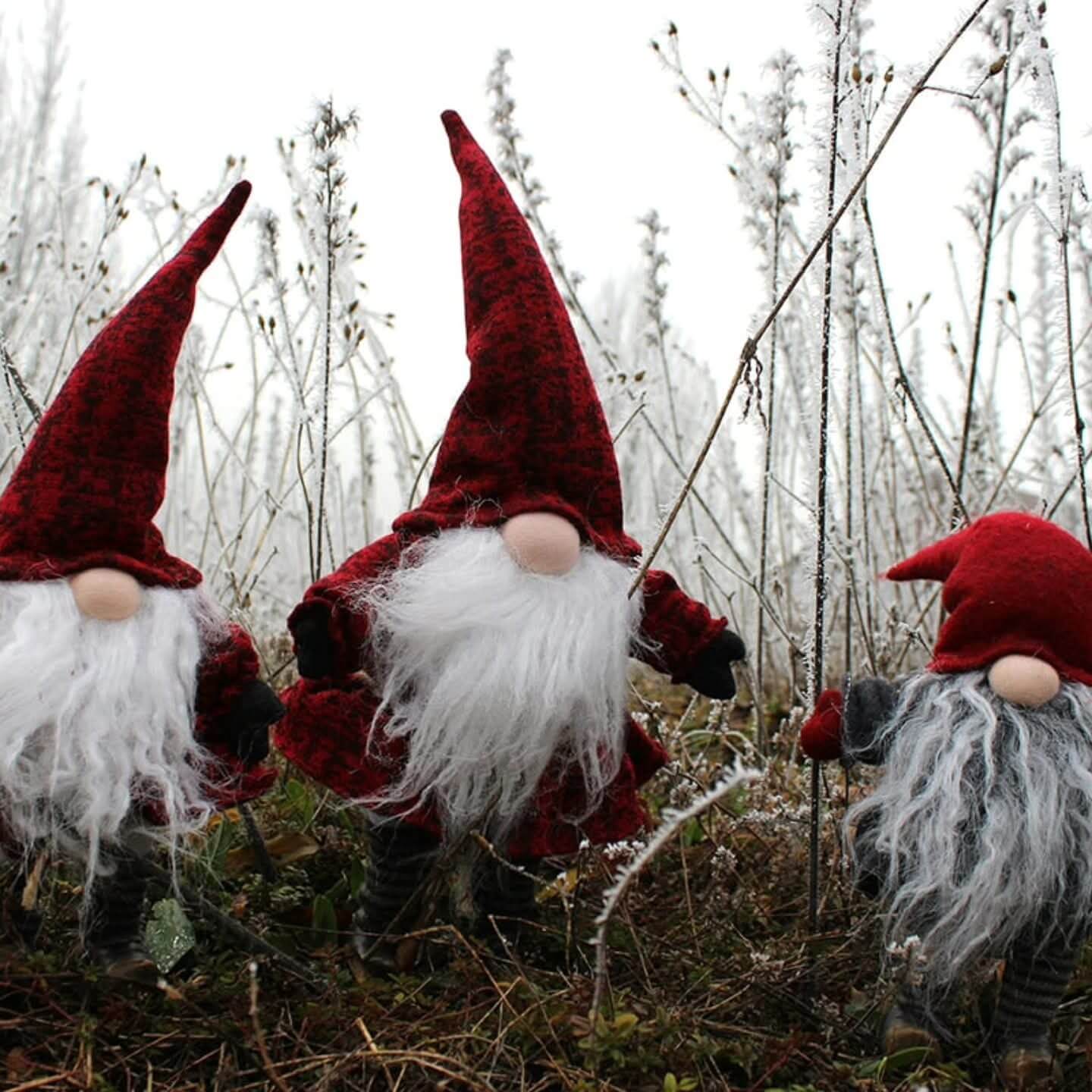 COMPLET - BALADE ENCHANTEE DE NOEL A LA FERME (2ème session) | La contrée des minis