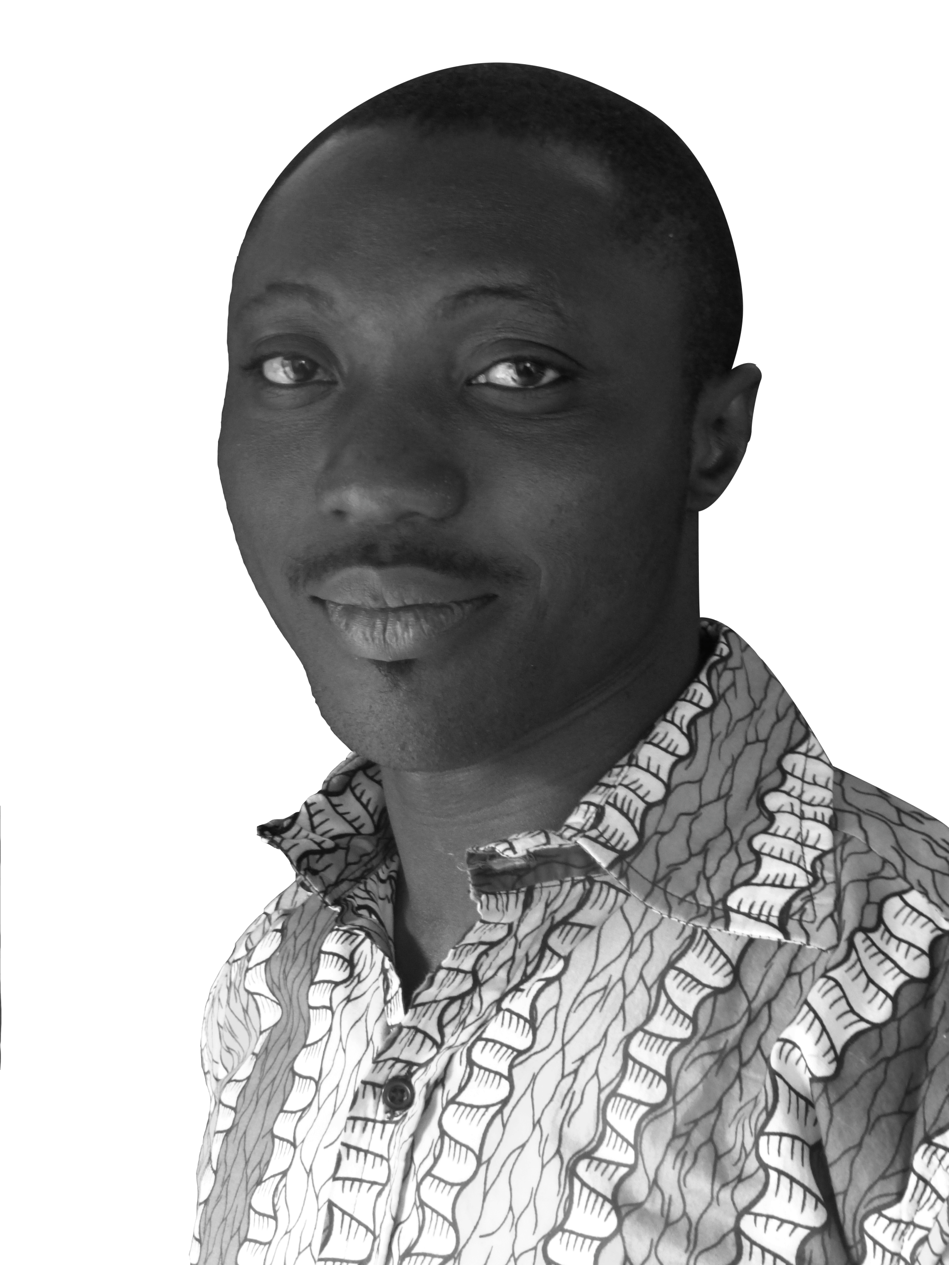 Narcisse Sare Ali | La Voûte Nubienne