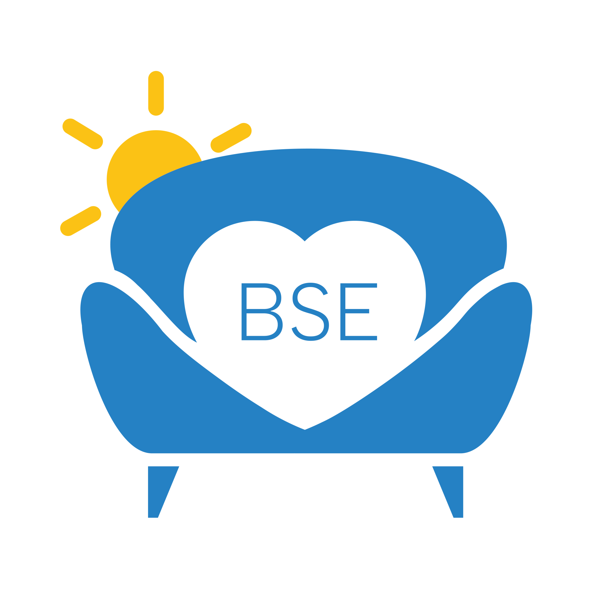 Logo BSE miniature réseau avec texte | Emmaüs Défi