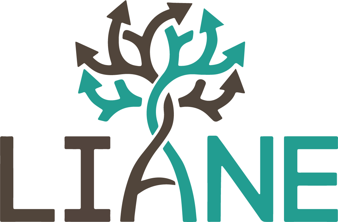 Lien Et Insertion Pour La Guyane