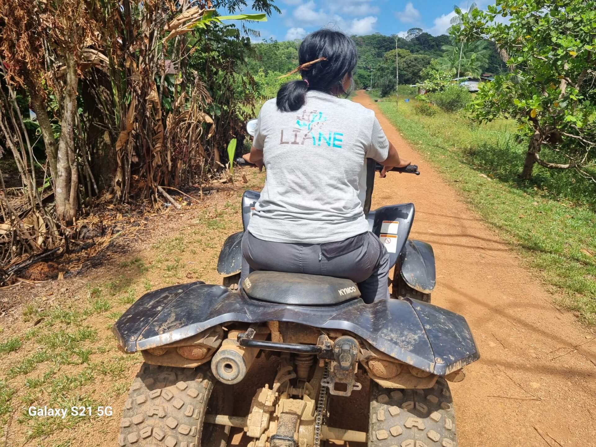 Lien Et Insertion Pour La Guyane