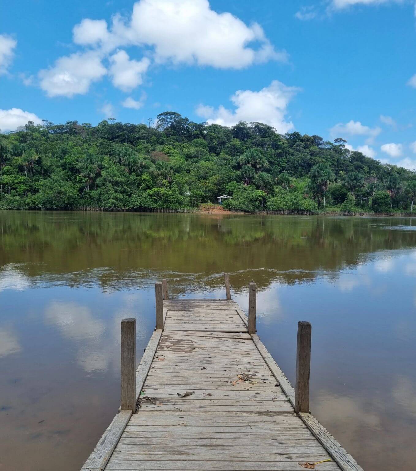 Lien Et Insertion Pour La Guyane