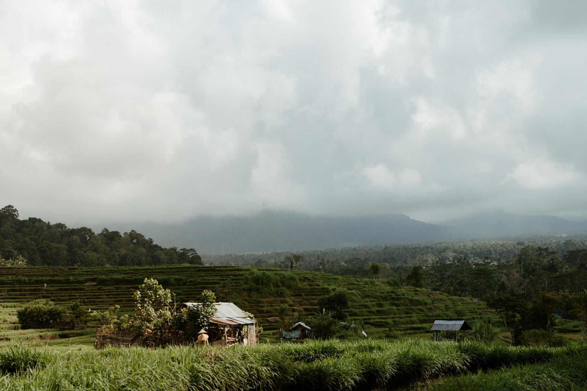 Lien Et Insertion Pour La Guyane