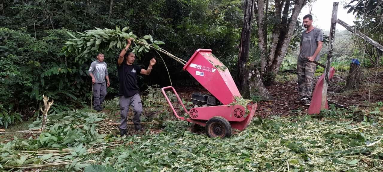 Lien Et Insertion Pour La Guyane