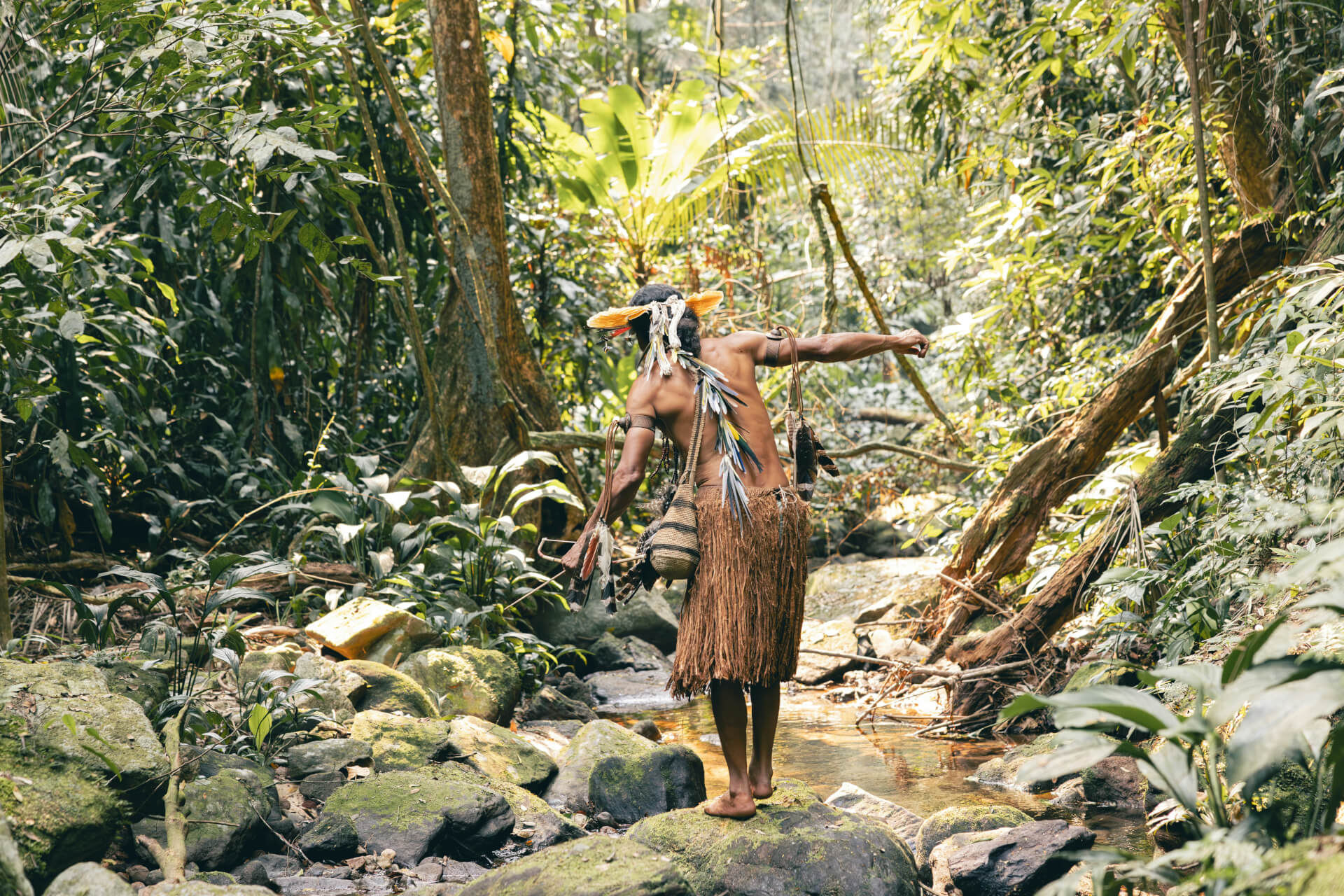 Sed ut perspiciatis unde | Lien Et Insertion Pour La Guyane