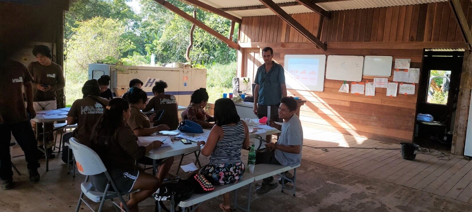 Lien Et Insertion Pour La Guyane