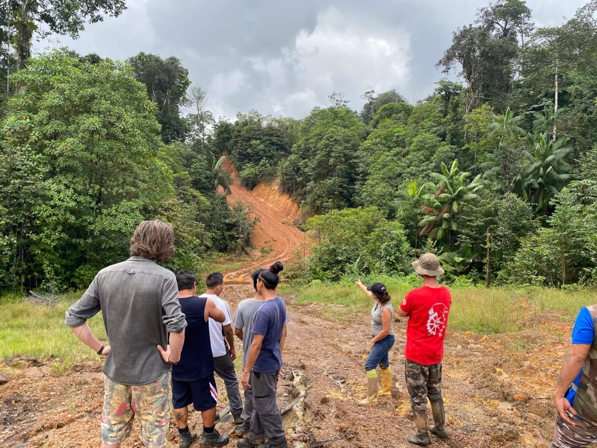 Lien Et Insertion Pour La Guyane