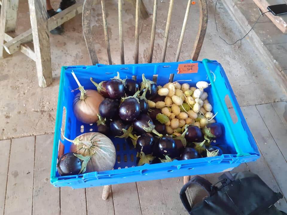 Lien Et Insertion Pour La Guyane