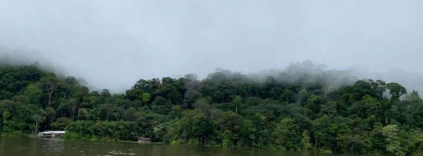 Lien Et Insertion Pour La Guyane