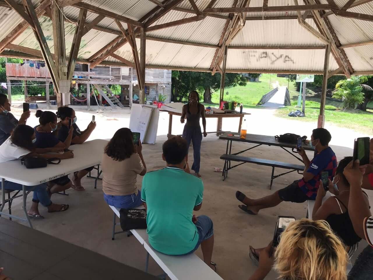 Lien Et Insertion Pour La Guyane