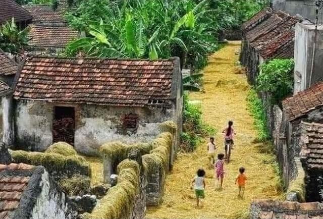 Đất nước cần một hướng đi mới ! | Vietnam Fraternité