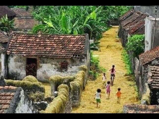 Cuộc sống nơi làng quê Việt Nam 50 năm trước. Ai xem cũng nhớ về tuổi thơ của mình đã từng như thế