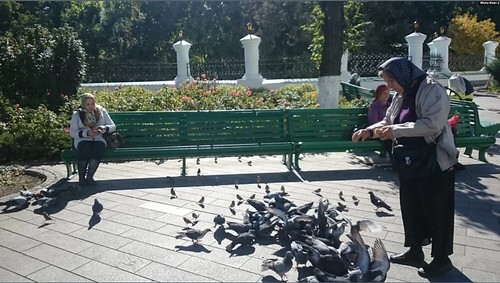 ‘Người Nga có muốn chiến tranh không ?’ | Vietnam Fraternité