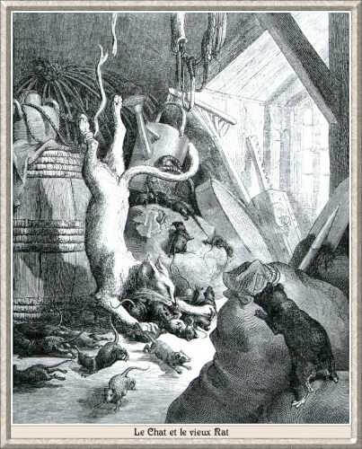 Nhà văn thích kể chuyện Chuột | Vietnam Fraternité