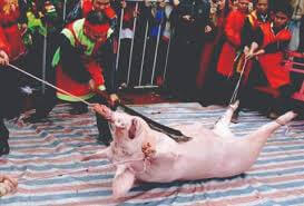 Cần đưa những lễ hội Tết trở về đúng truyền thống ! | Vietnam Fraternité