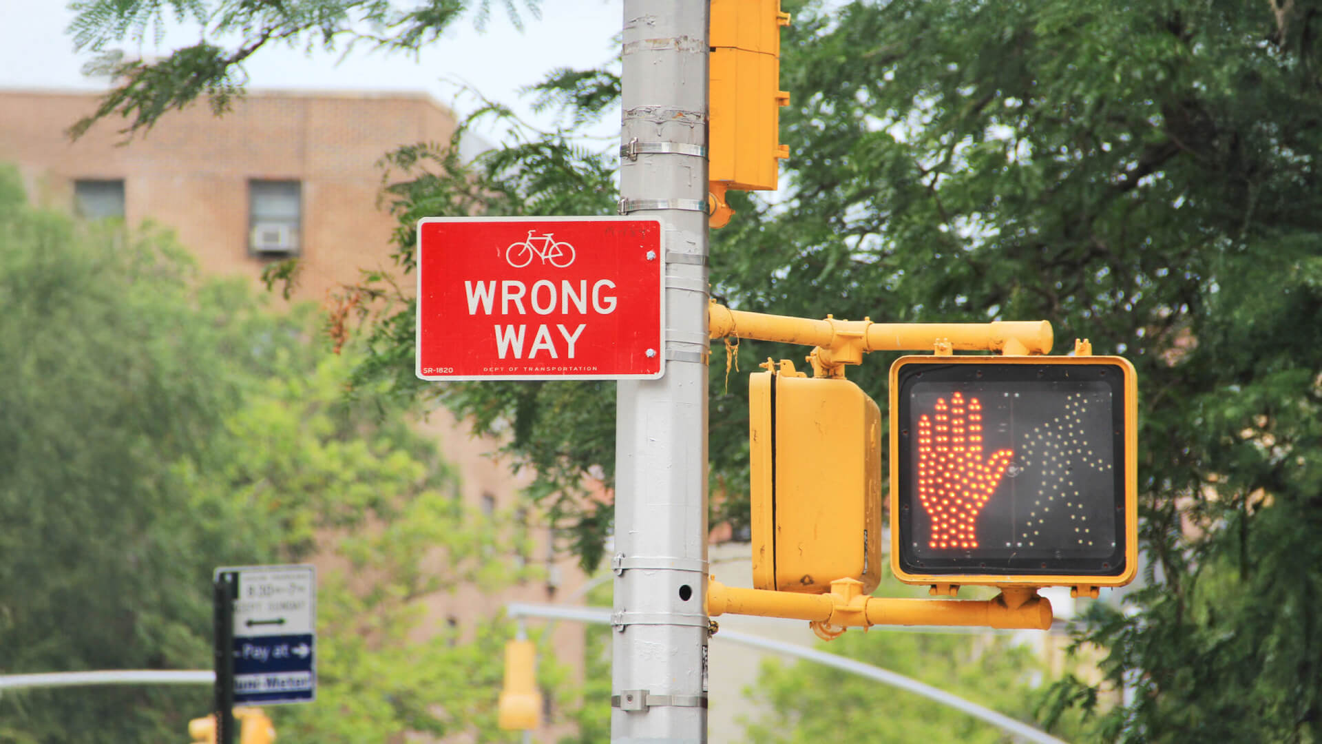 Nước Mỹ đi đúng hay sai hướng dưới thời Tổng thống Trump ? | Vietnam Fraternité