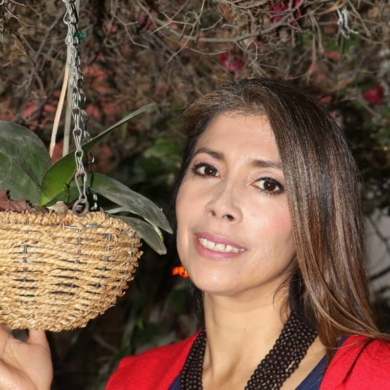 PInel Fabiola | Aliados literarios