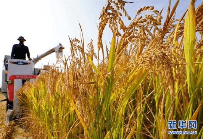 Trung Quốc tích trữ lương thực và năng lượng đề phòng rủi ro chiến tranh | Vietnam Fraternité