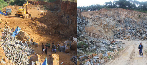 Nằm chờ sung rụng | Vietnam Fraternité