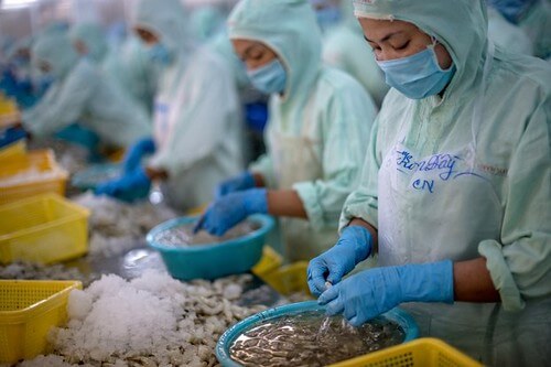 Đi xa hơn trận thương chiến | Vietnam Fraternité