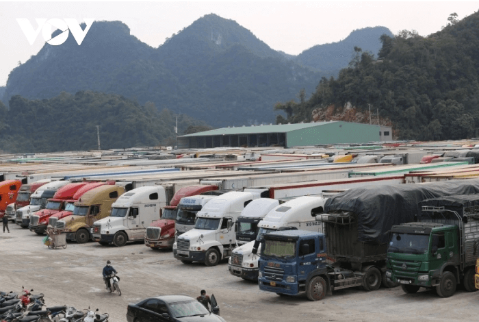 Nghị định 46 gây tắc nghẽn hàng hóa : Ai chịu trách nhiệm về thiệt hại của doanh nghiệp ? | Vietnam Fraternité