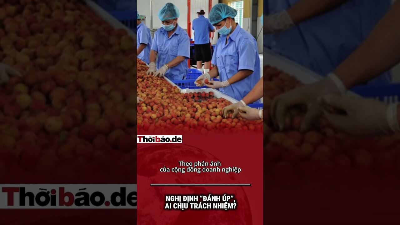 NGHỊ ĐỊNH “ĐÁNH ÚP”, AI CHỊU TRÁCH NHIỆM?