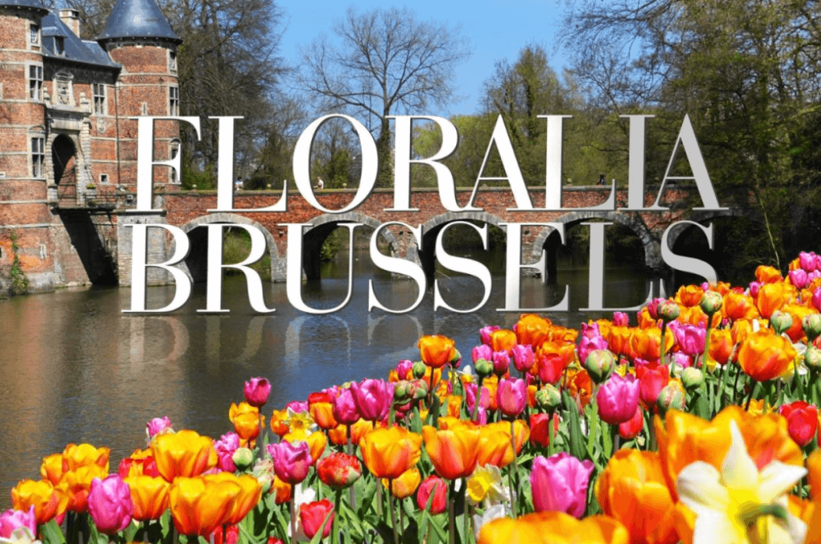 🌷🌷🌷Floralia Brussels 2026 au Château de Grand-Bigard 🌹🌹🌹 | Funnyrockers